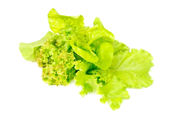 Mix fresh salad isolated on white background — Stock Photo, Image
