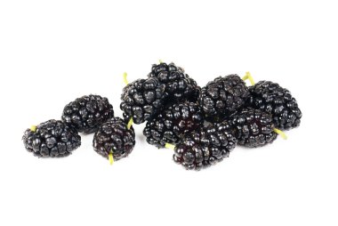 Mulberry fruits isolated on white macro clipart