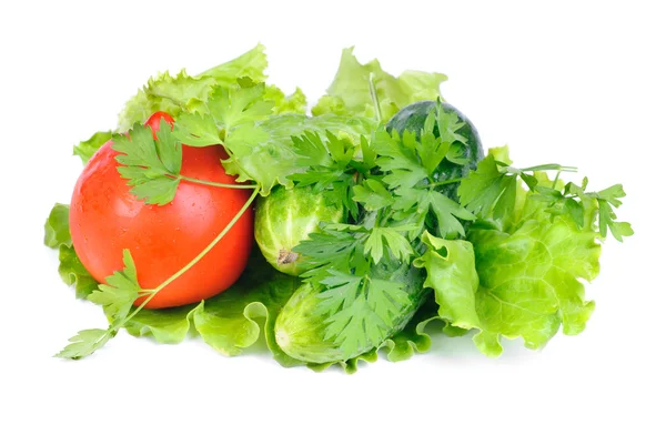 Green salad and fresh vegetables isolated on white background — Stock Photo, Image