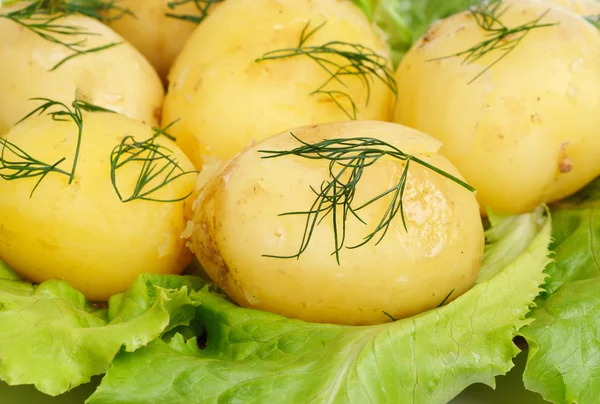 Neuer Kartoffel- und grüner Salathintergrund — Stockfoto