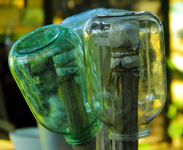 Vasi di vetro secco — Foto Stock
