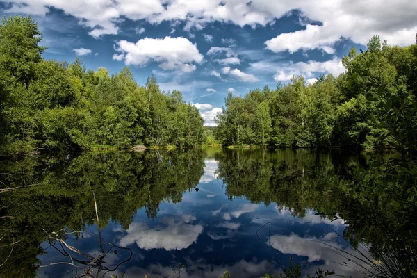 Reflexão em um lago — Fotografia de Stock