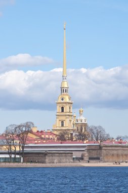 hisorical katedral peterpau kale şehir sankt-peterbur