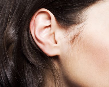 Woman's ear clipart