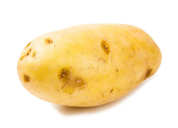 Nieuwe aardappel geïsoleerd op witte achtergrond close-up — Stockfoto