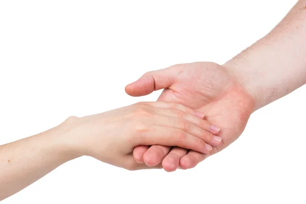 Το ανθρώπινο χέρι κρατά προσεκτικά θηλυκό απομονωθεί σε λευκό φόντο — Φωτογραφία Αρχείου