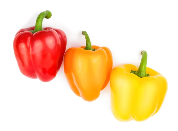 Kırmızı biber (pepper) kırmızı, turuncu ve sarı renk üzerine beyaz izole - Stok İmaj