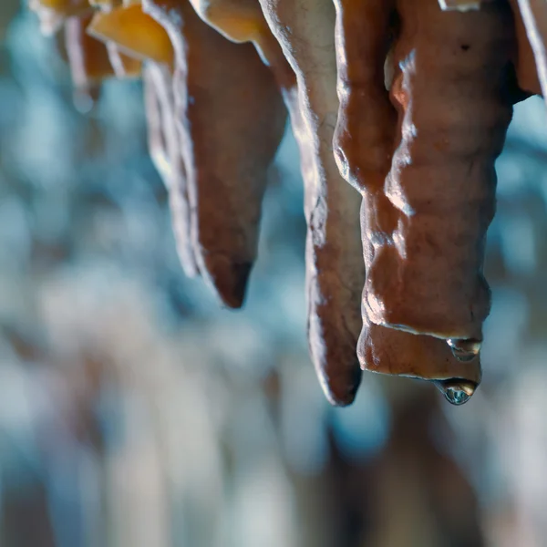 Stock image Stalactite stalagmite cavern