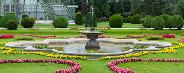 비엔나의 식물 정원 — 스톡 사진