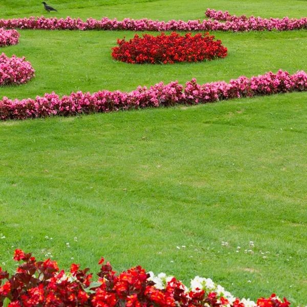 植物园维也纳花园 — 图库照片