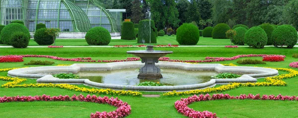Ботанический сад Вены — стоковое фото