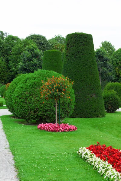 Jardín Botánico de Viena — Foto de Stock
