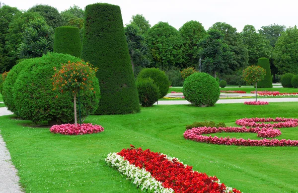 Ботанический сад Вены — стоковое фото