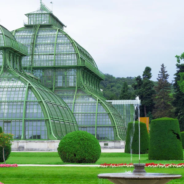Botaniska trädgården i Wien — Stockfoto