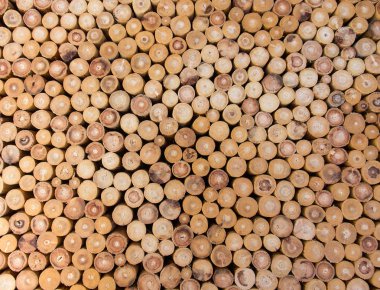 Wood logs background clipart