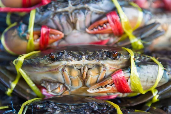 Frische Krabben zum Verkauf — Stockfoto