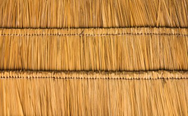 Thatched roof straw clipart