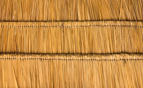 Thatched çatı saman — Stok fotoğraf
