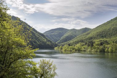 Ligurya Gölü vadisinde ceviz