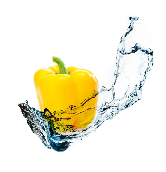 Peper met water splash — Stockfoto