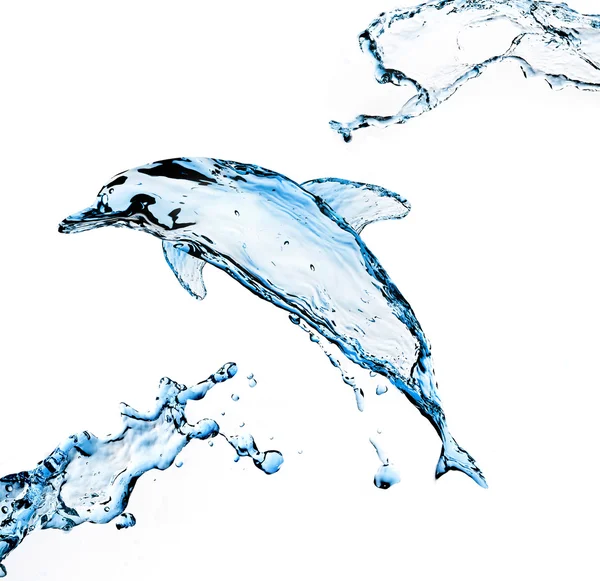 Water dolfijn — Stockfoto
