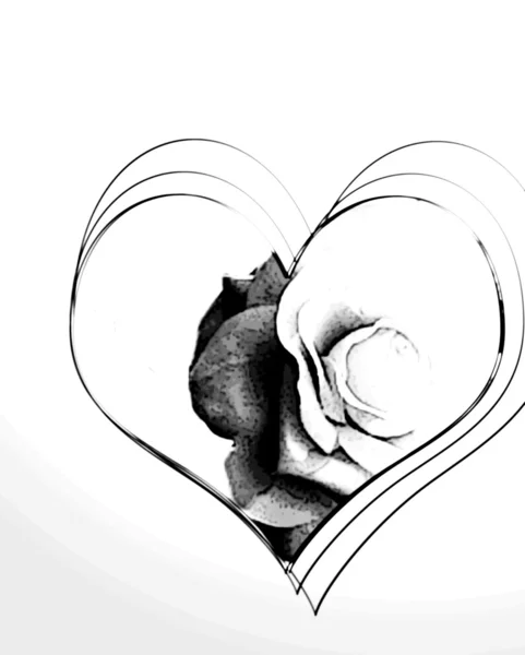 심장 모양의 장미 그린 — 스톡 사진