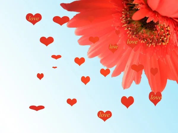 Pyłek kwiatowy wywodzącymi się miłości — Zdjęcie stockowe