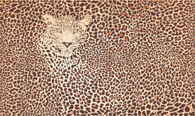 Pattern background leopard