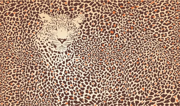 Modello sfondo leopardo — Vettoriale Stock