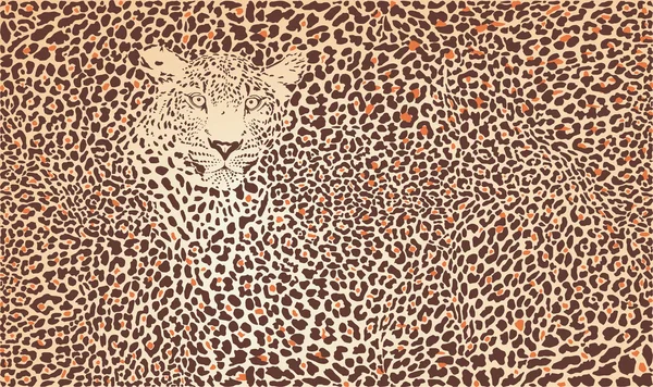 Modèle fond léopard — Image vectorielle
