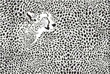 Pattern cheetahs background clipart