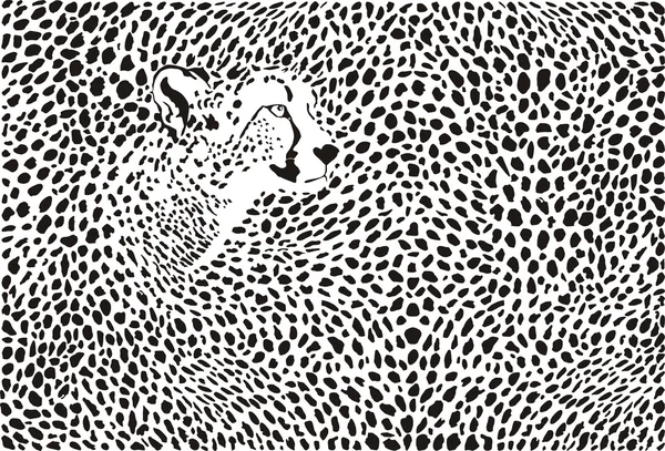 Pattern cheetahs background — Stock Vector