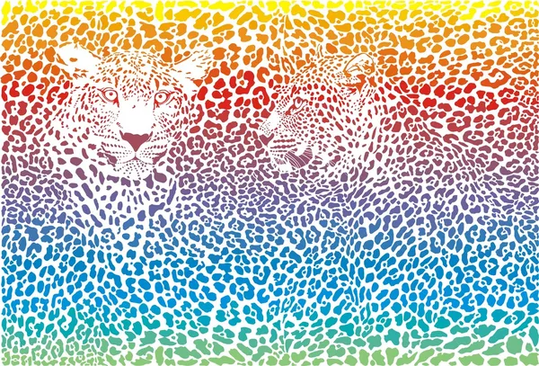 Leopard regenboog patroon achtergrond — Stockvector
