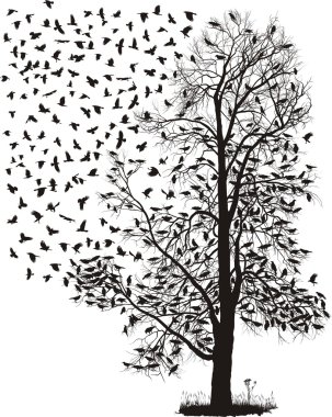 Crows fly away from the tree clipart