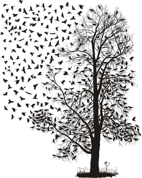 Los cuervos vuelan lejos del árbol — Vector de stock
