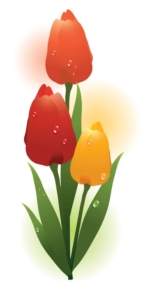 Vector bunch of colorful tulips — Stock Vector