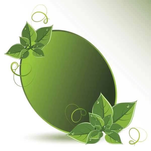 Vektor zöld levelek öko design — Stock Vector