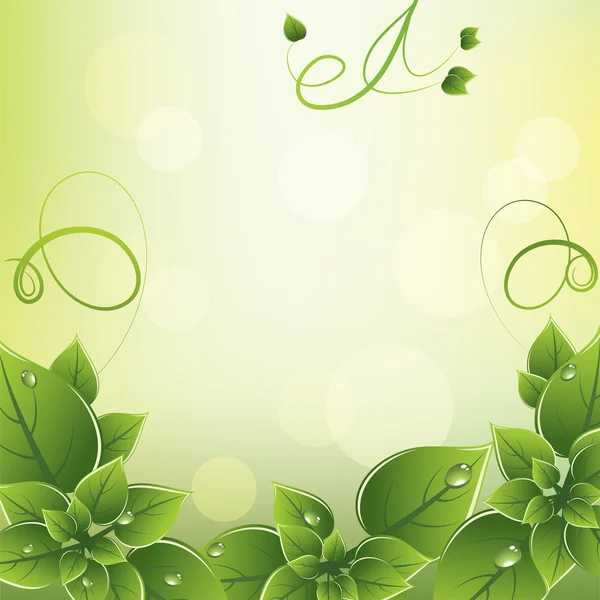 Cadre vectoriel avec feuilles vertes fraîches — Image vectorielle