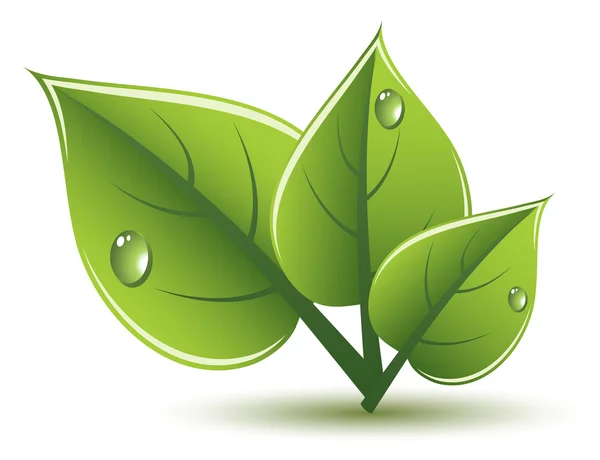 벡터 녹색 나뭇잎 에코 디자인 — 스톡 벡터