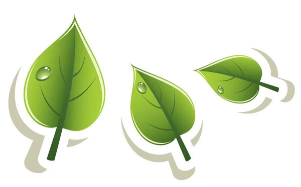 Wektor zielony liści eco design — Wektor stockowy
