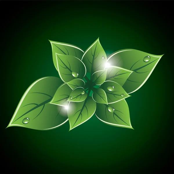 Vektorové zelené listy eco design — Stockový vektor