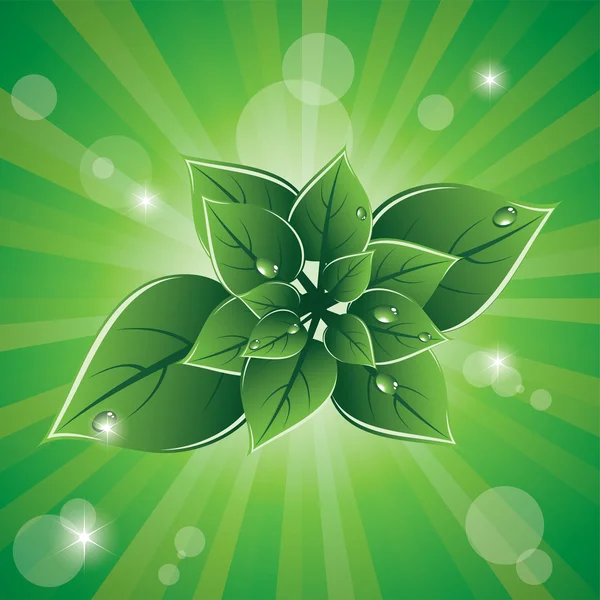 Vector verde deja diseño ecológico — Vector de stock