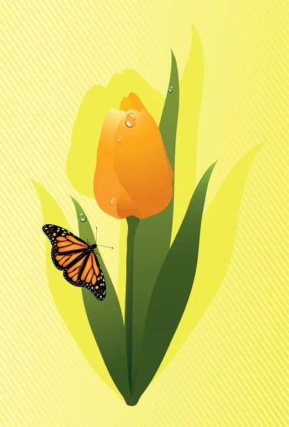 Tulipe vectorielle et un papillon — Image vectorielle