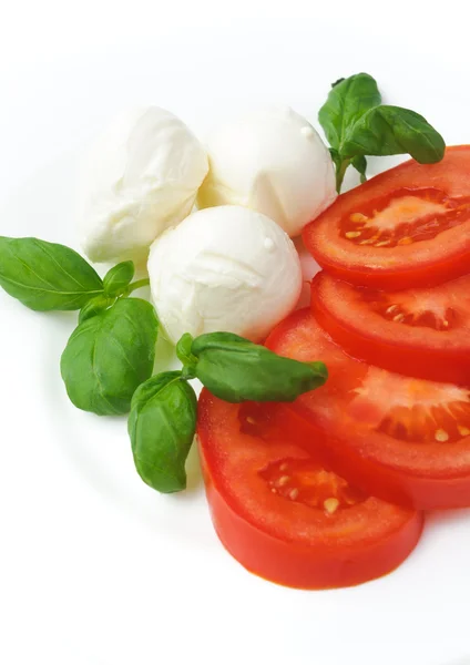 Fromage mozzarella à la tomate et basilic — Photo