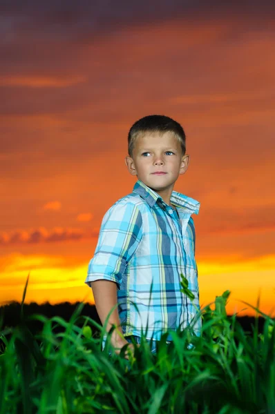 Glücklicher junger Mann ruht auf der grünen Wiese — Stockfoto