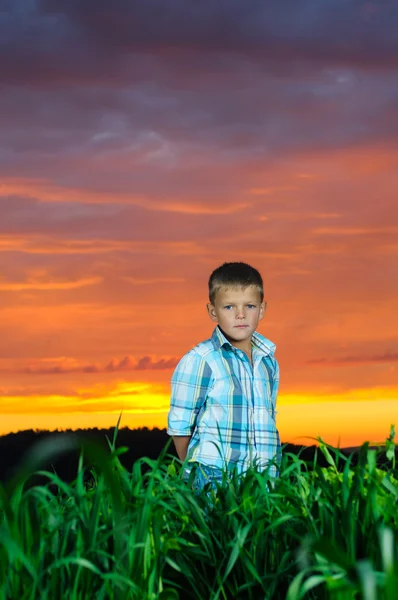Happy young man rest on green field — Stock Photo, Image