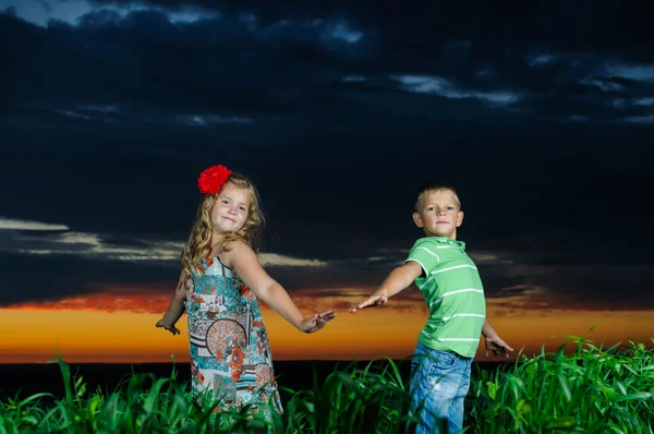 Grupp glada barn spelar på ängen, solnedgång, sommartid — Stockfoto