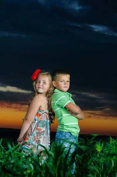 群快乐玩耍的孩子在草地上、 日落、 夏季 — 图库照片