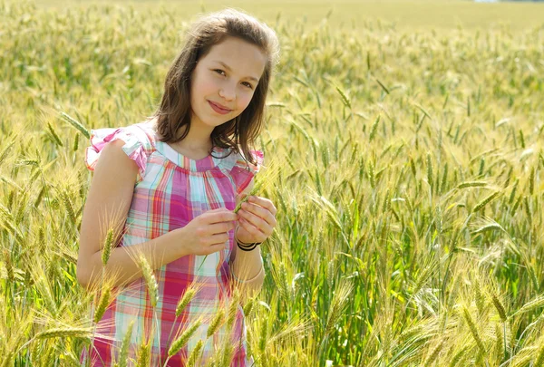 小麦畑で美しい少女 — ストック写真