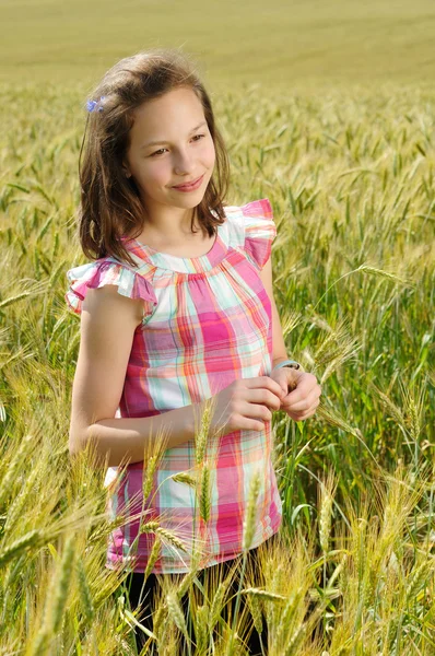 Young beautiful girl in a field of wheat — Stock Photo, Image